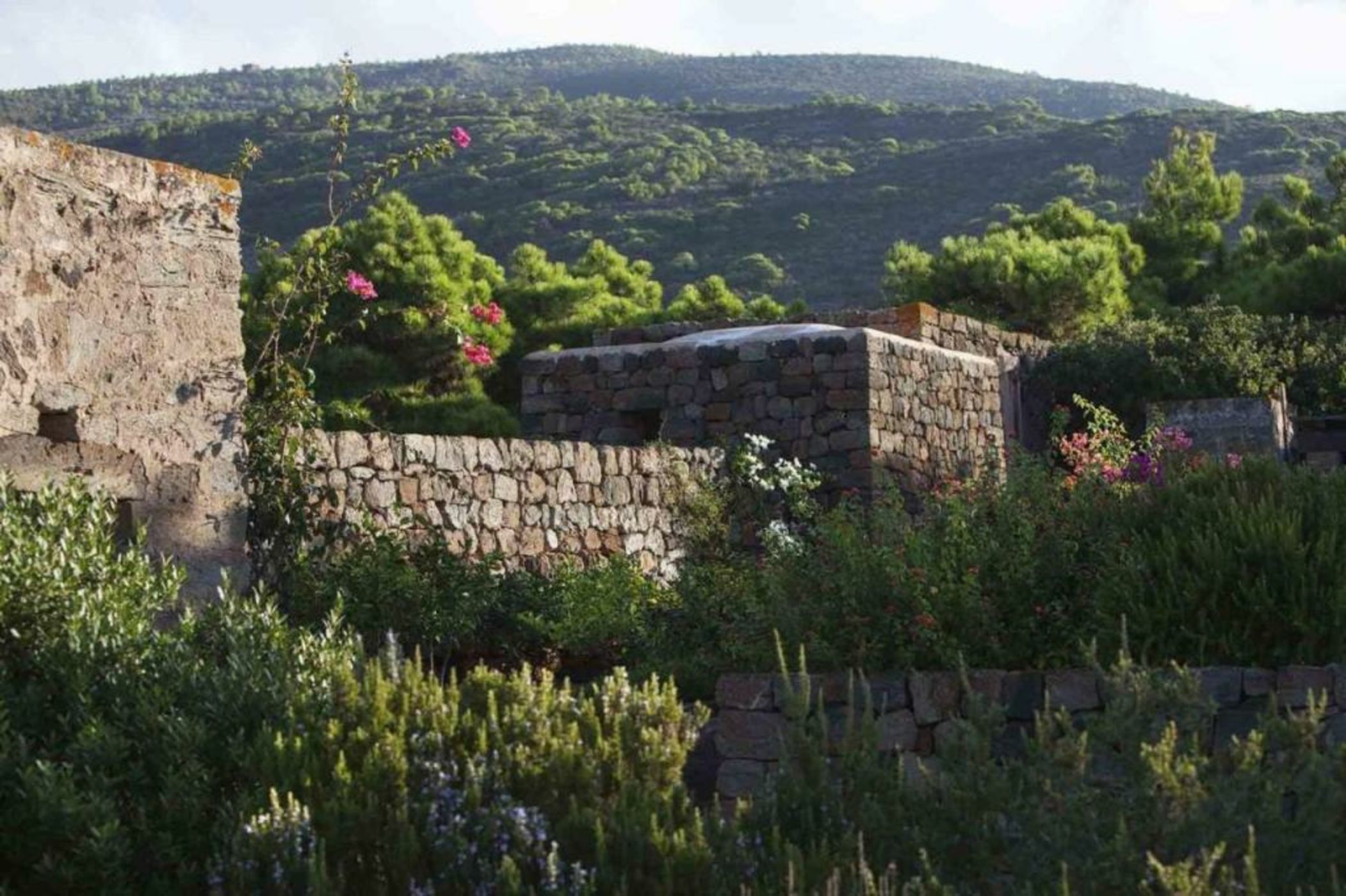 Tenuta Borgia