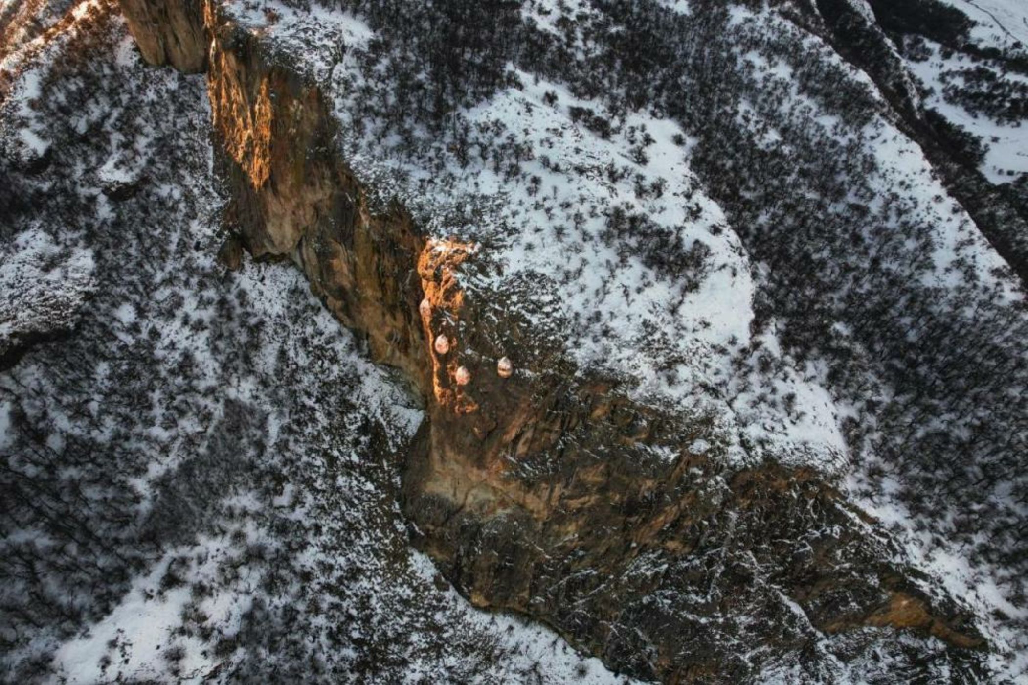 OVO Patagonia