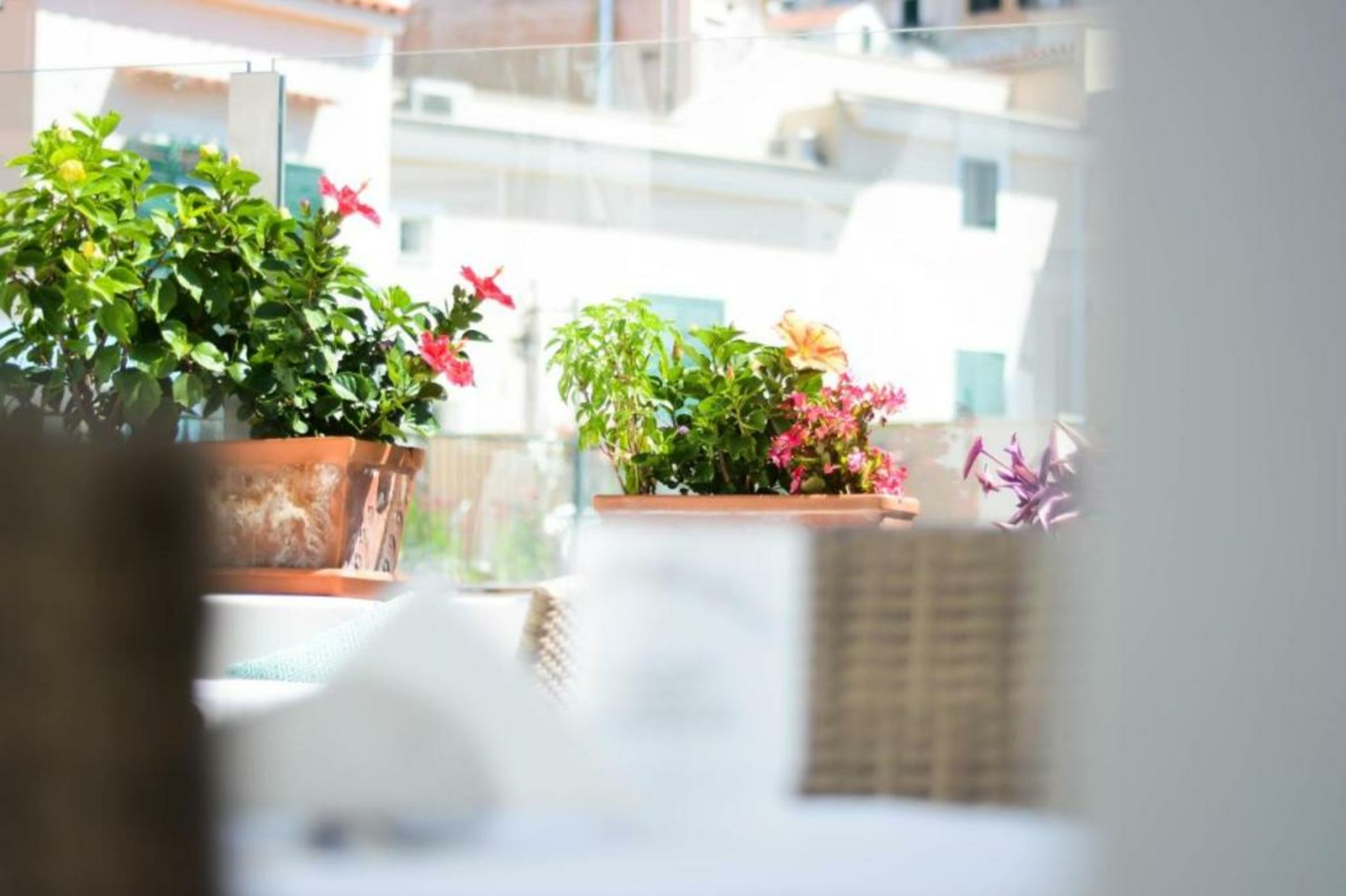 Residenza Luce