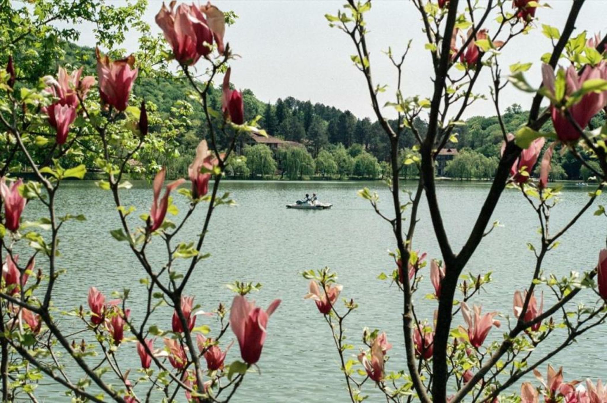 Lopota Lake Resort & Spa