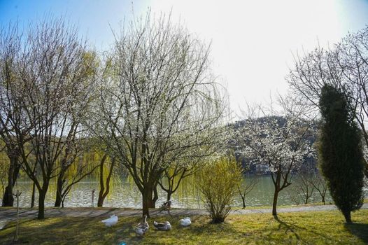 Lopota Lake Resort & Spa