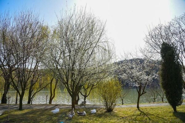 Lopota Lake Resort & Spa