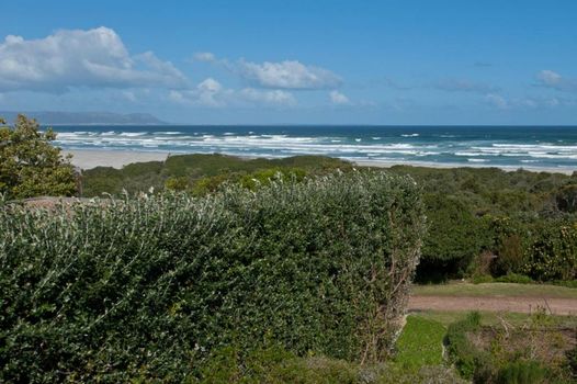 Mosselberg on Grotto Beach