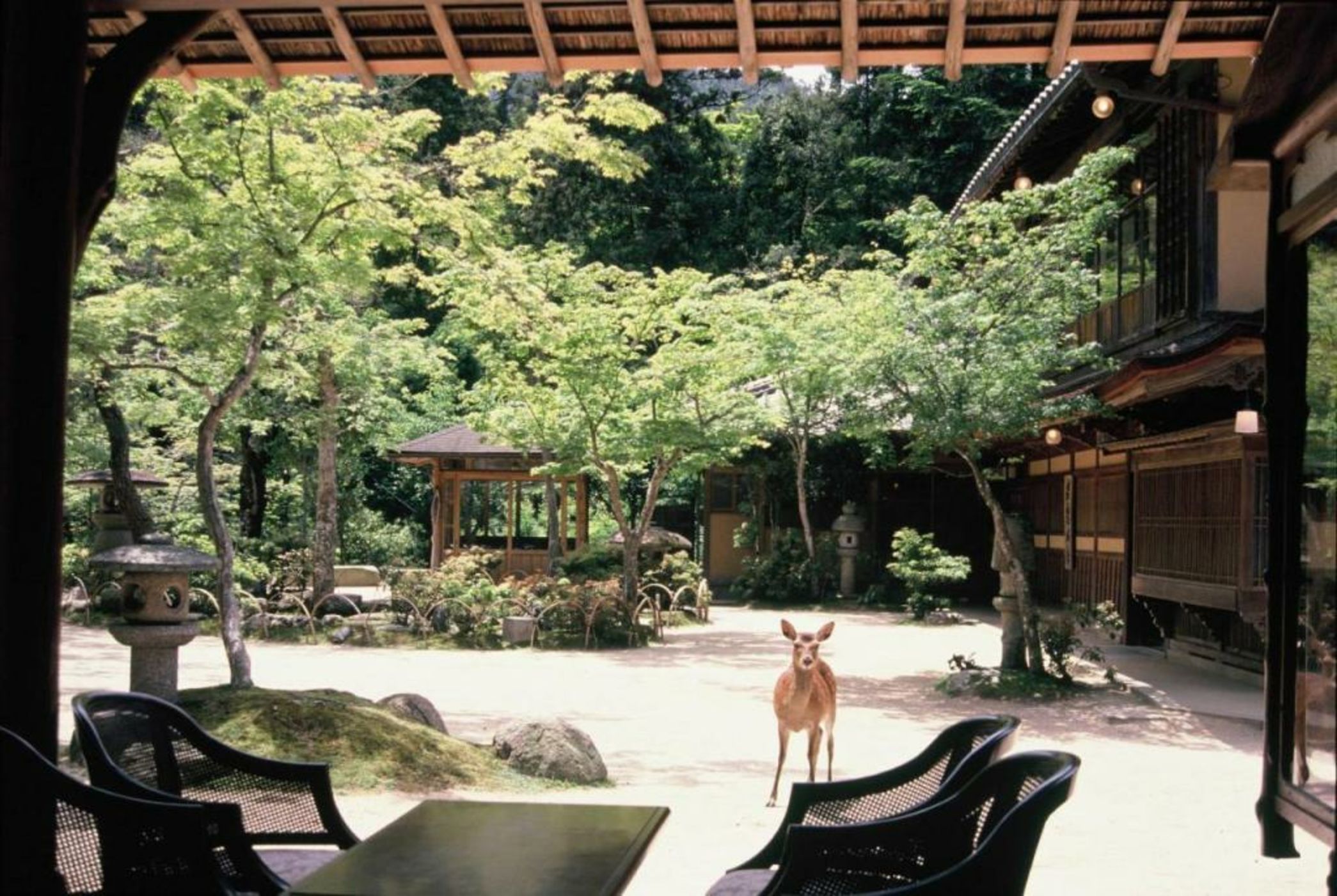 Iwaso