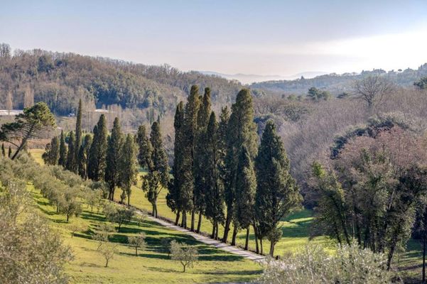 Rivo della Corte