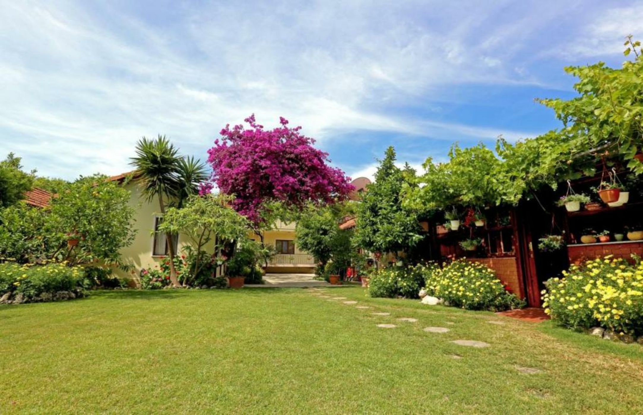 Midas Pension