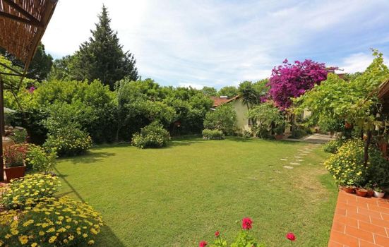 Midas Pension