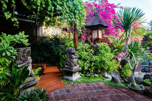 Poppies Bali