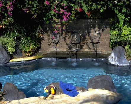 Poppies Bali