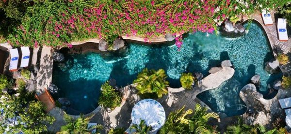 Poppies Bali