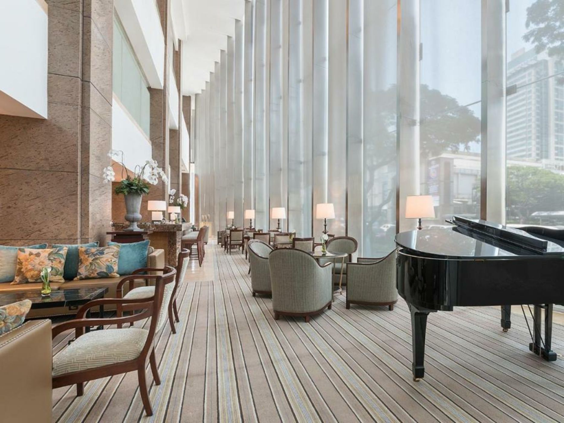 Discovery Primea