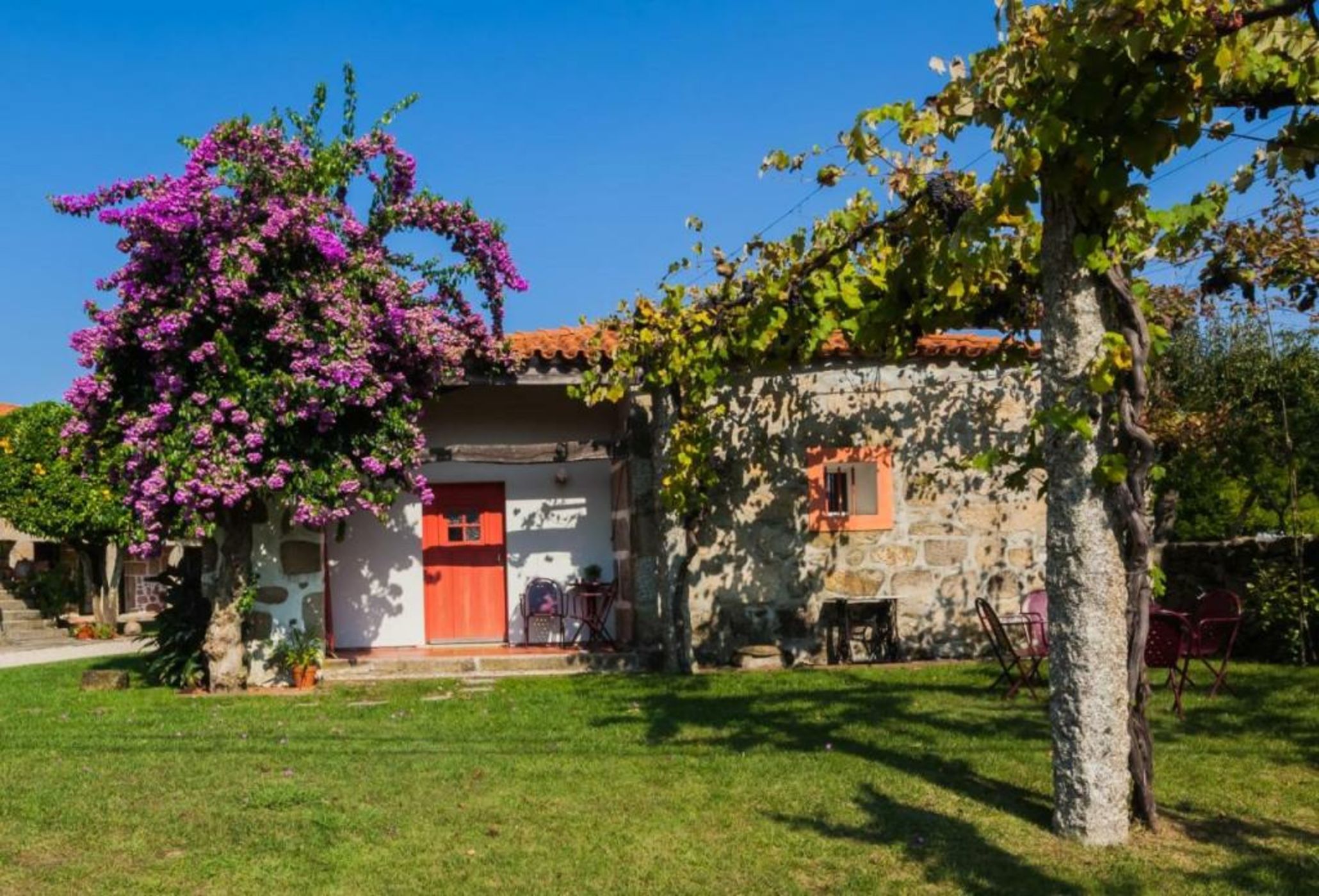 1720 Quinta da Cancela - Winery & Farmhouse
