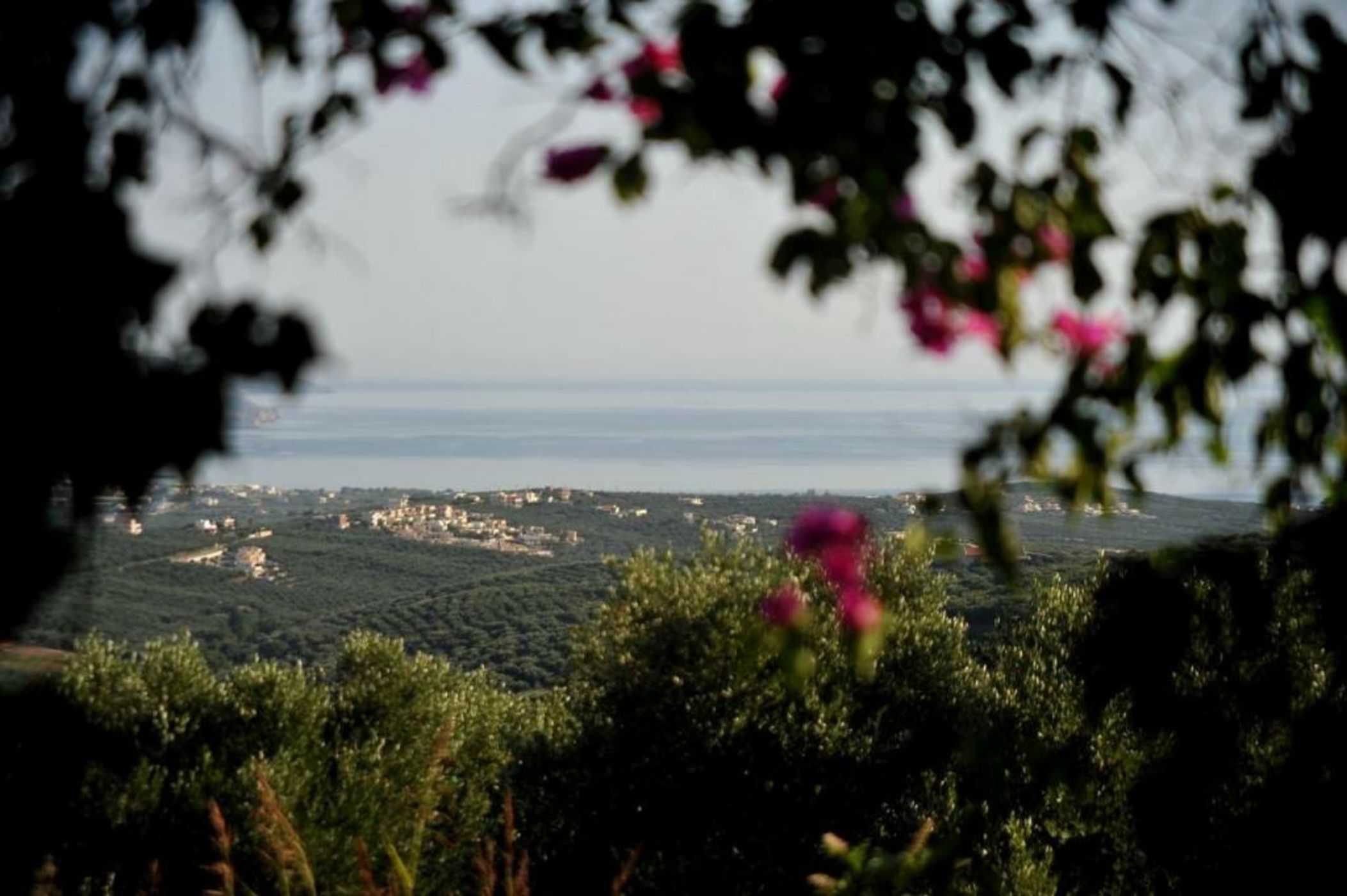 Elia Hotel & Spa