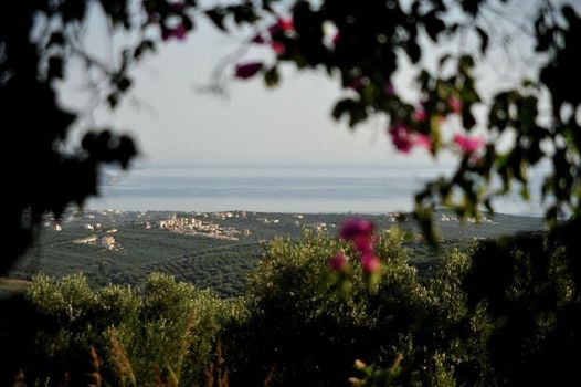 Elia Hotel & Spa