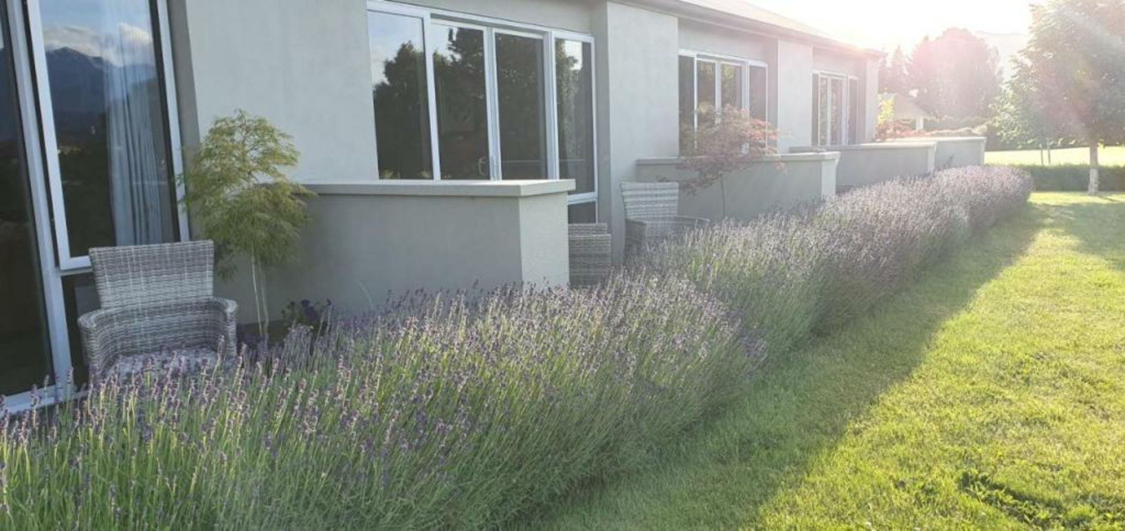 Dunluce Boutique B&B