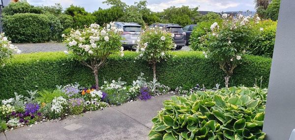 Dunluce Boutique B&B