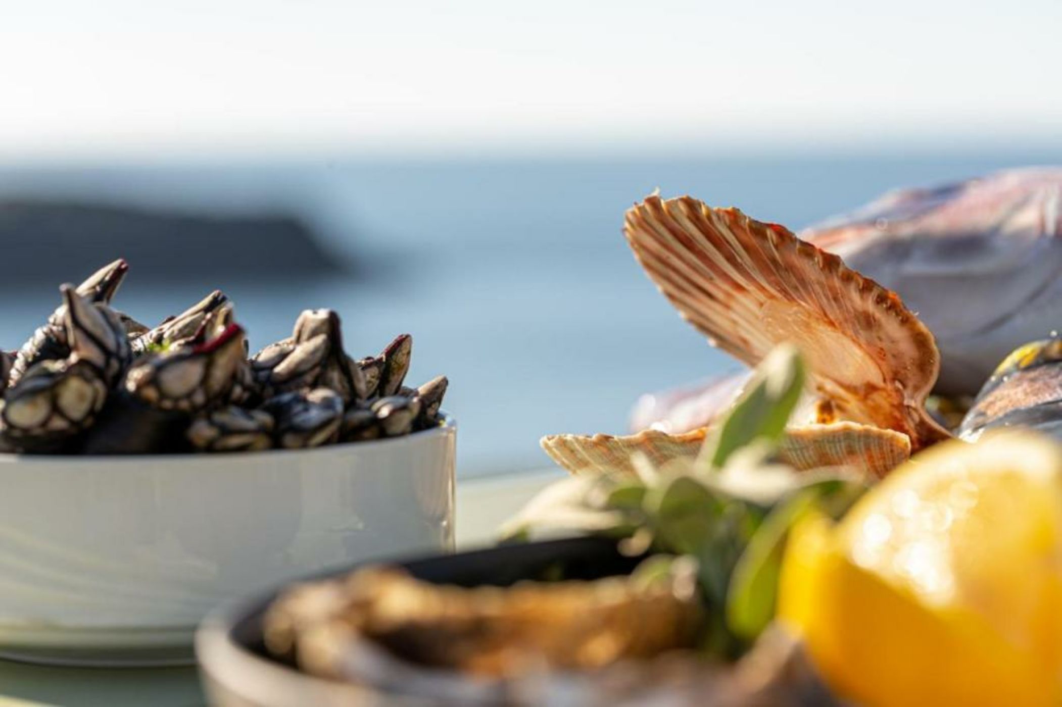 Le Grand Large, Belle-Ile-En-Mer
