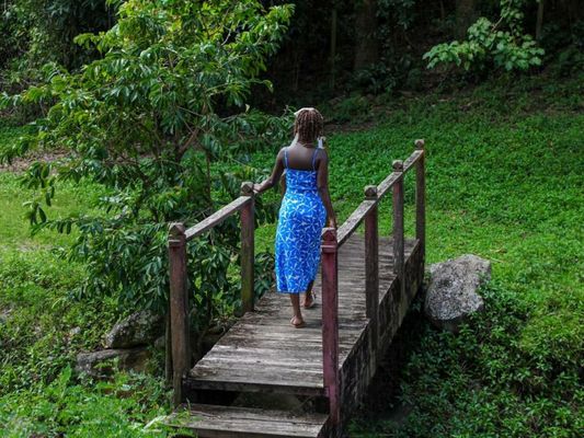Hermitage Nevis