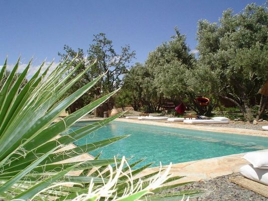 Les Jardins de Skoura