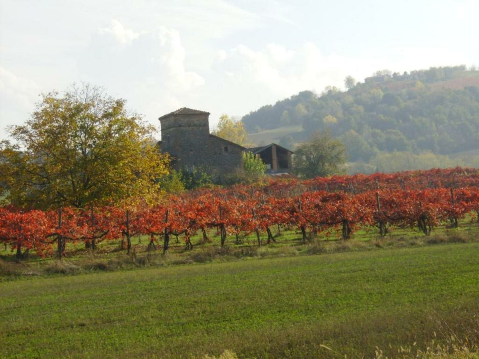 Locanda Del Feudo Suite & Restaurant