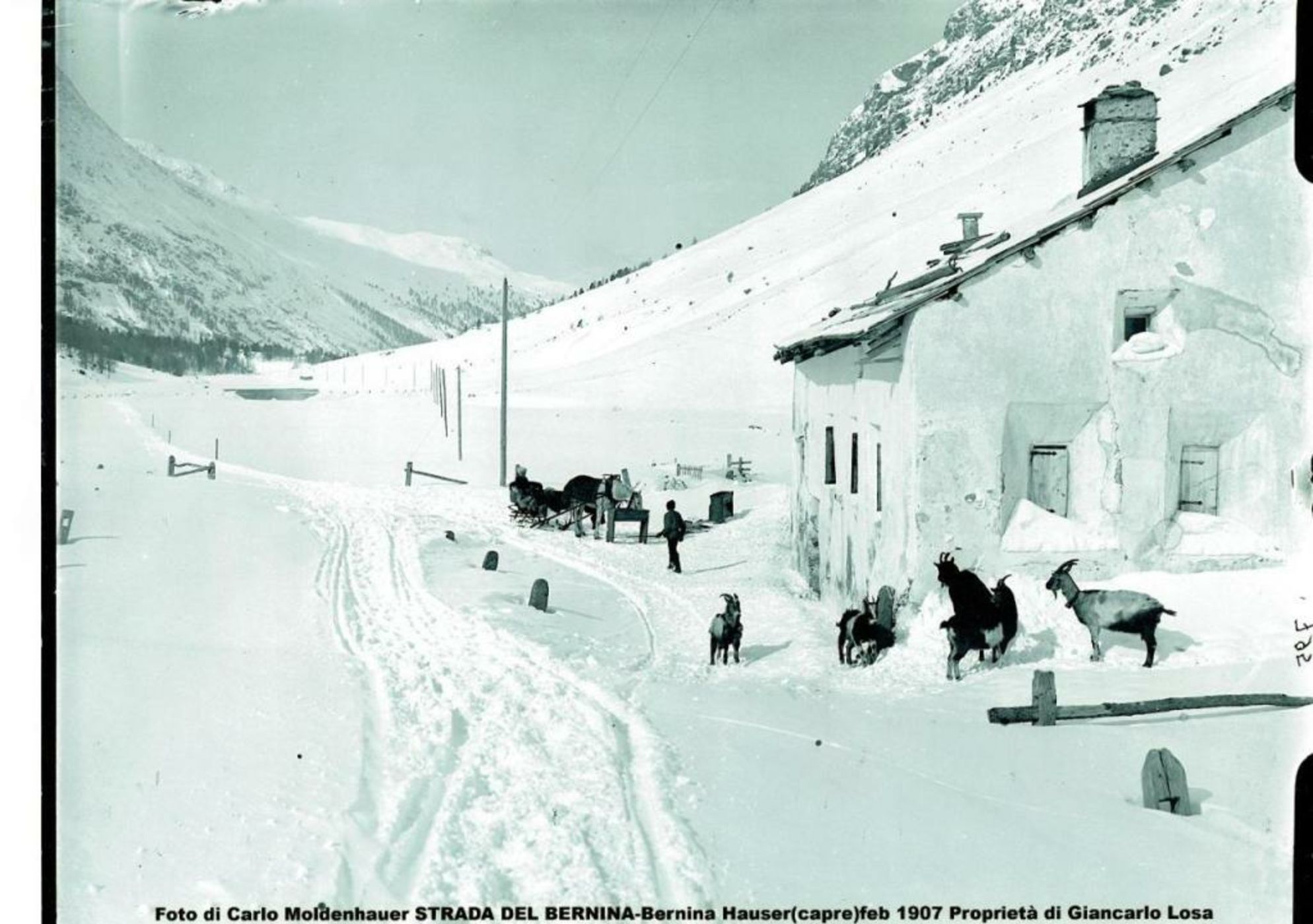 Gasthaus & Hotel Berninahaus