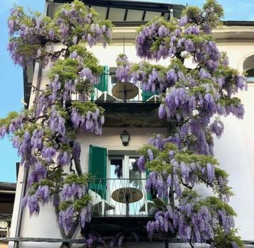 Locanda di Orta