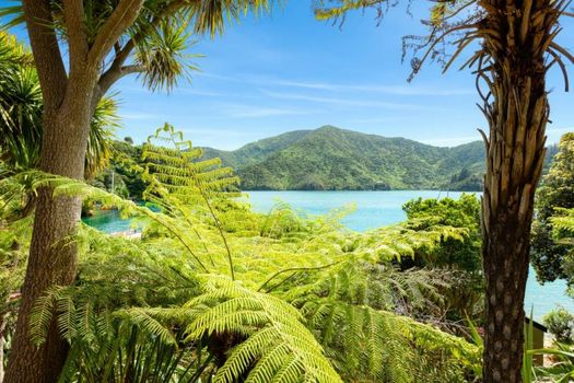 Lochmara Lodge - 20mins by boat from Picton
