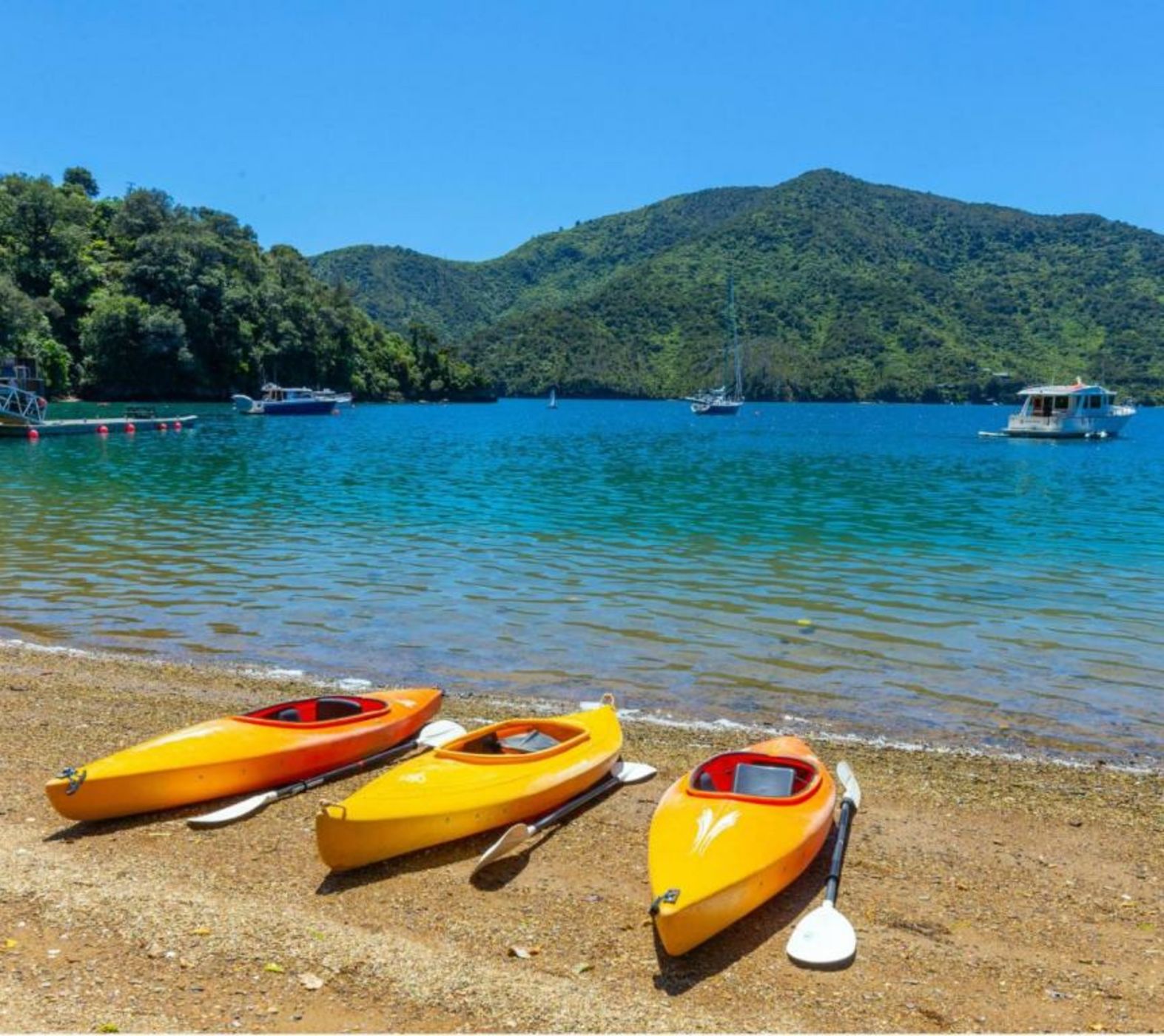 Lochmara Lodge - 20mins by boat from Picton