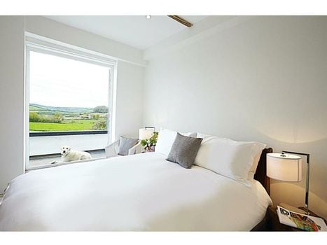 Live & Let Live Inn