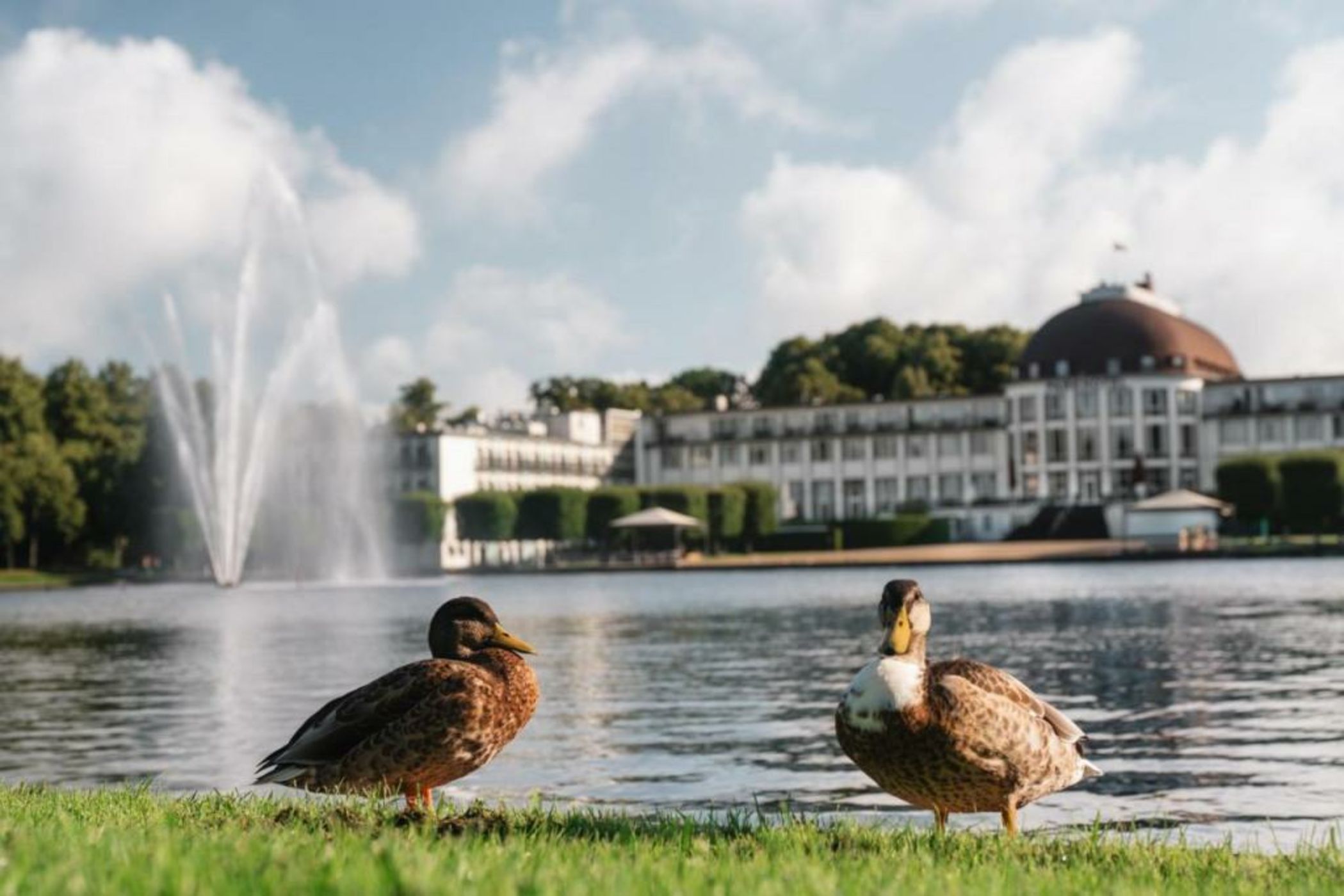 Parkhotel Bremen – ein Mitglied der Hommage Luxury Hotels Collection