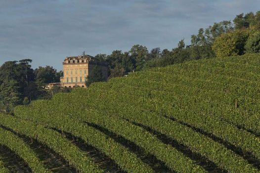 Marchesi Alfieri - Cantine e Ospitalità