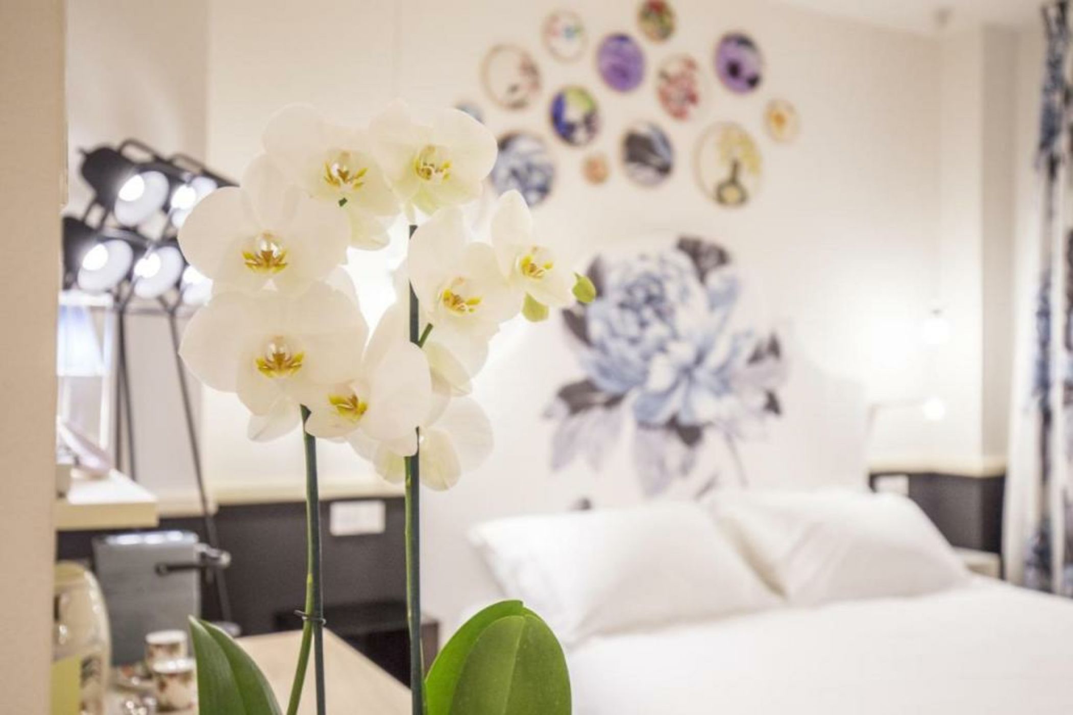 Cinque Rooms