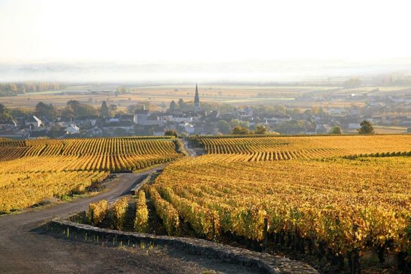 Clos Saint Jacques - Maison d'Hôtes