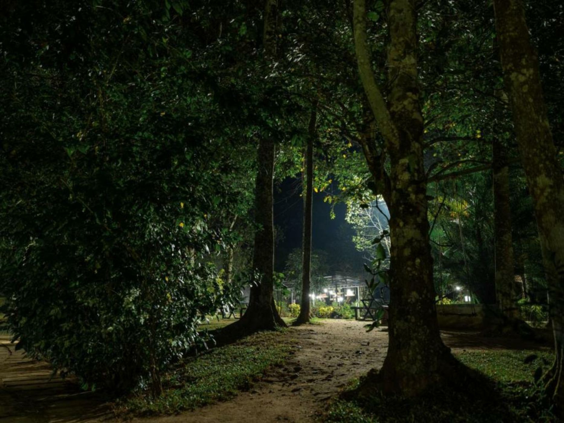 The Mountain Courtyard Thekkady