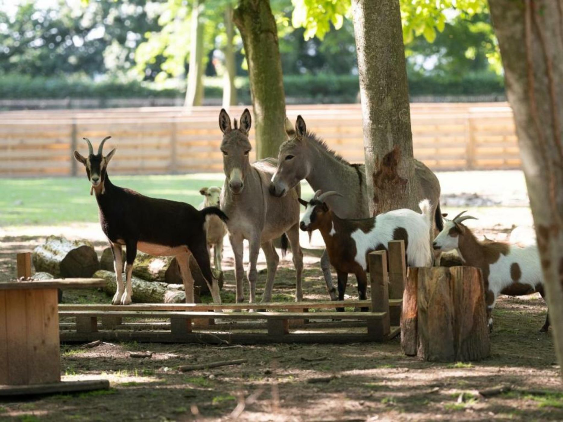 Le Domaine de Beaulieu