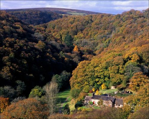 Tarr Farm Inn