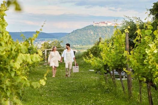 Steigenberger Hotel & Spa Krems