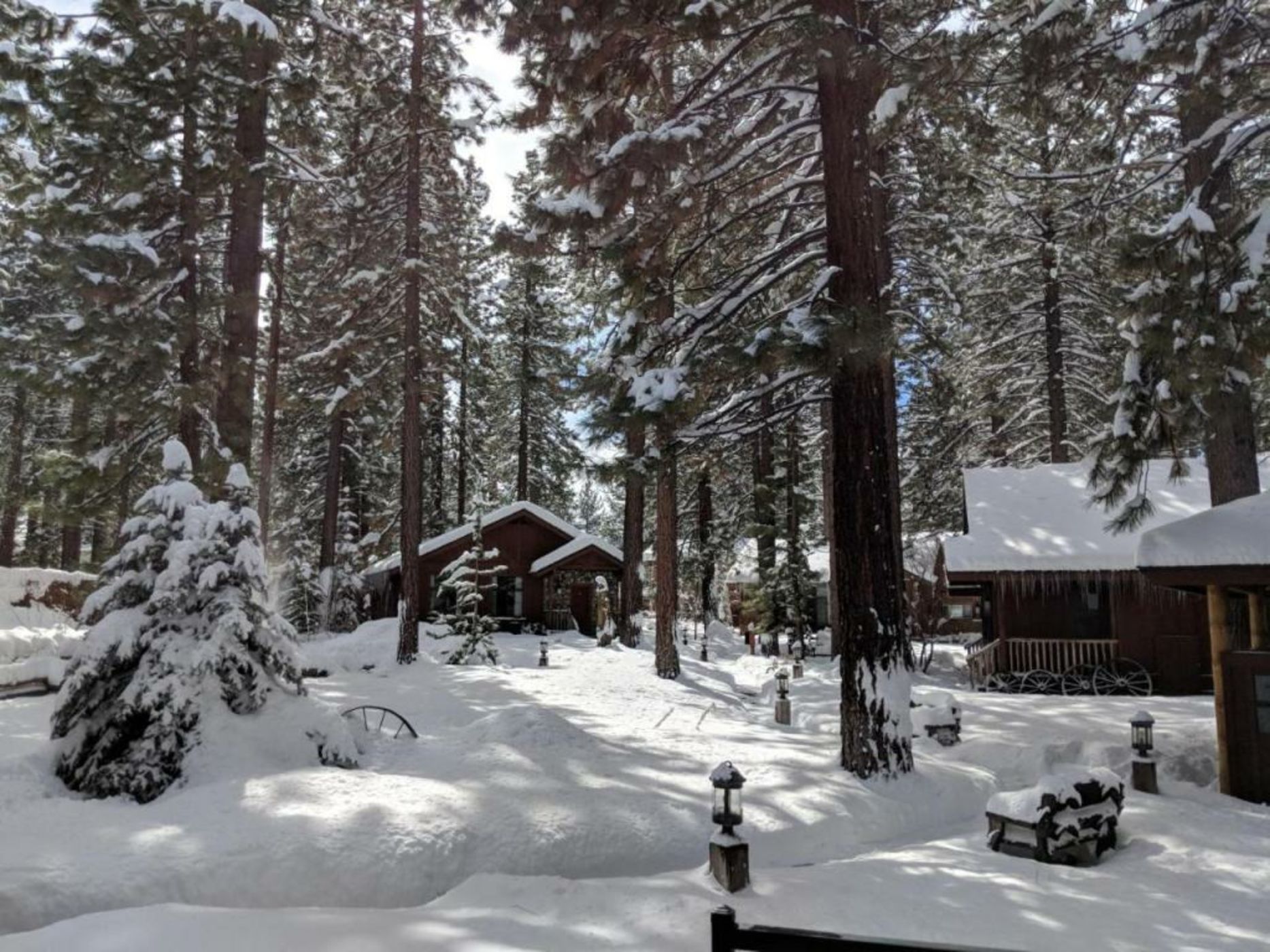 Black Bear Lodge