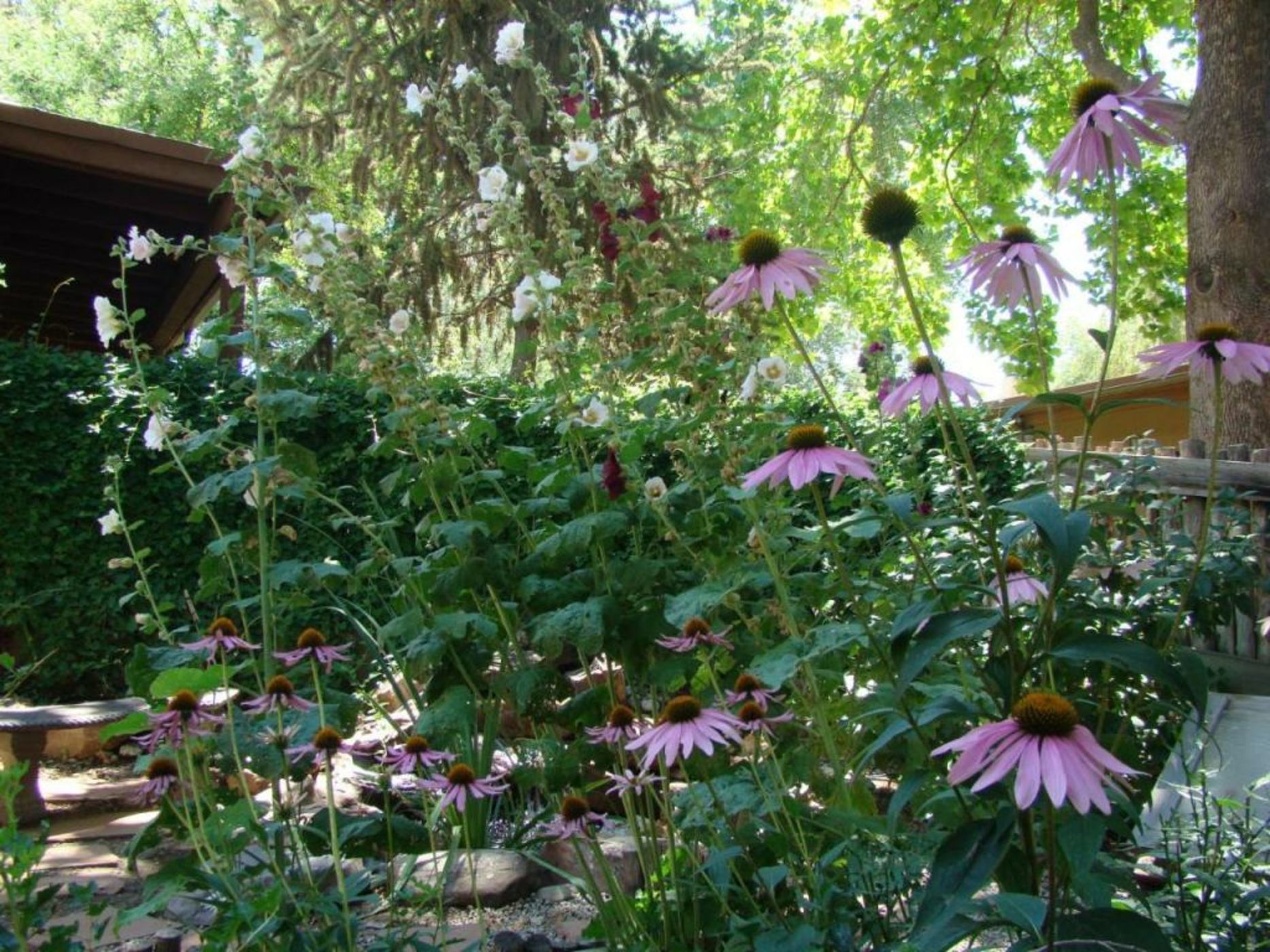 The Historic Taos Inn