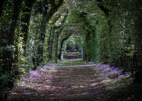 La Borde en Sologne Château & Spa