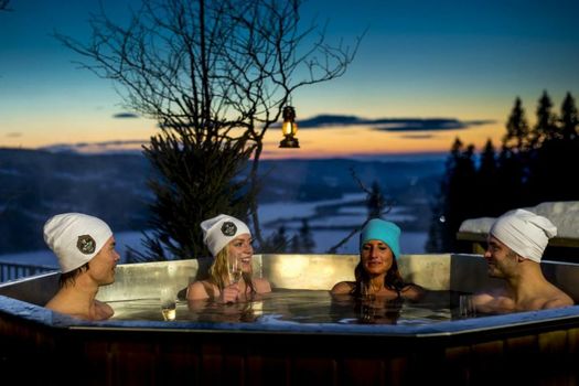 Hotell Fjällgården Ski-In Ski-Out