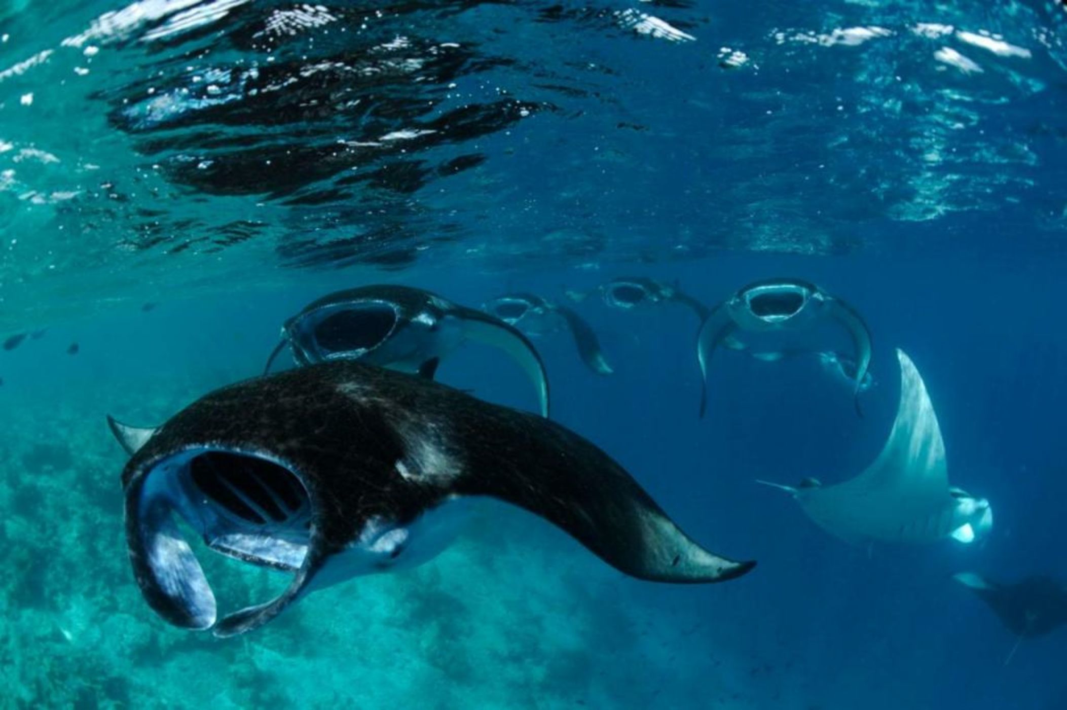 Four Seasons Resort Maldives at Landaa Giraavaru