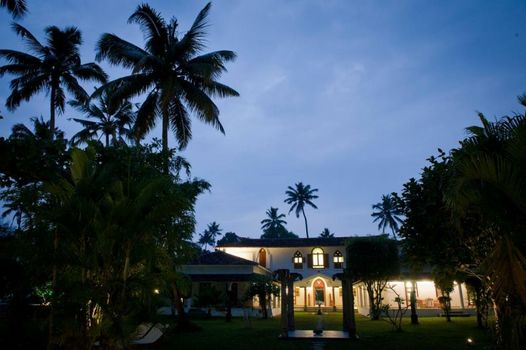 Purity at Lake Vembanad