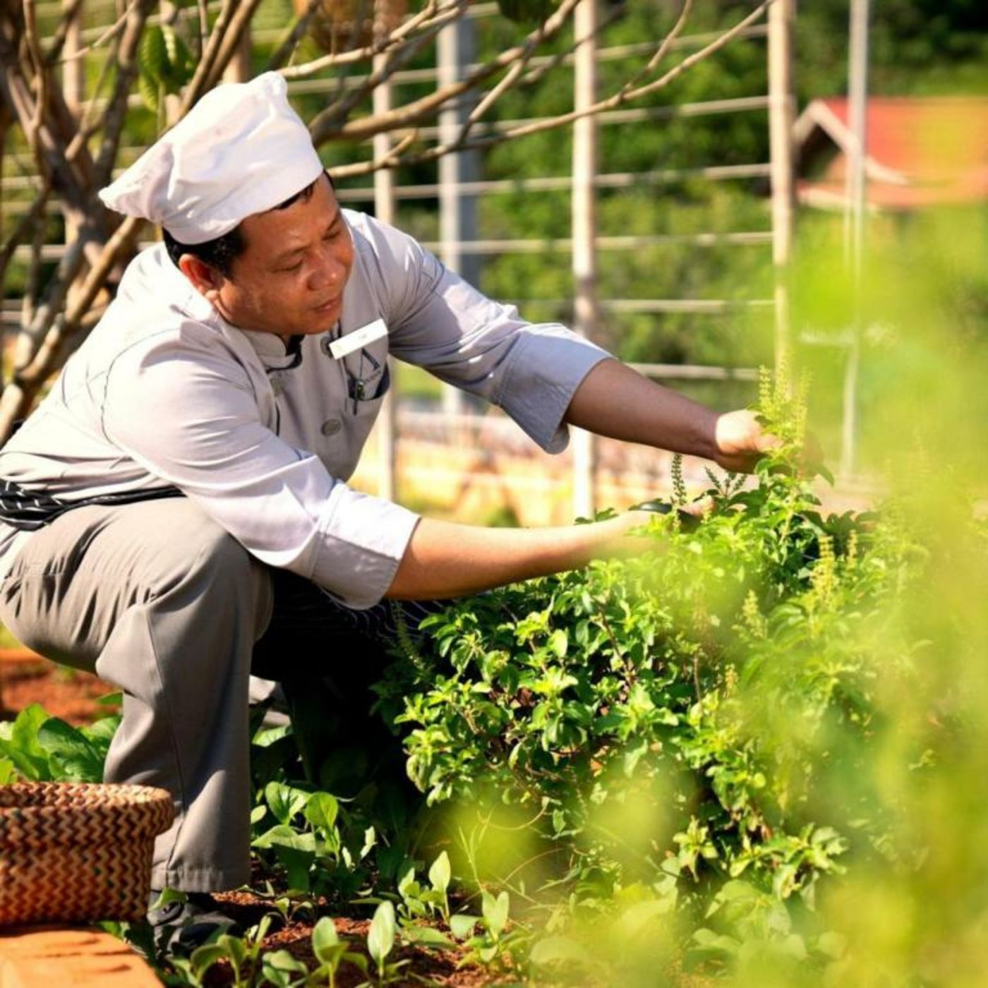 Anana Ecological Resort Krabi - SHA Extra Plus