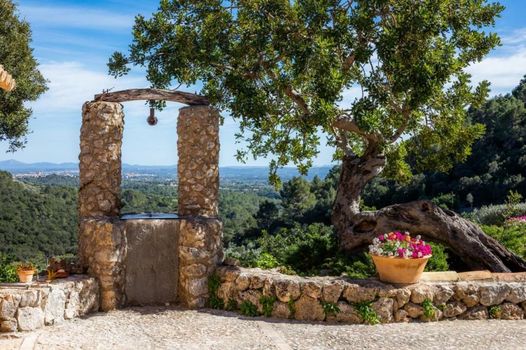 Finca Albellons