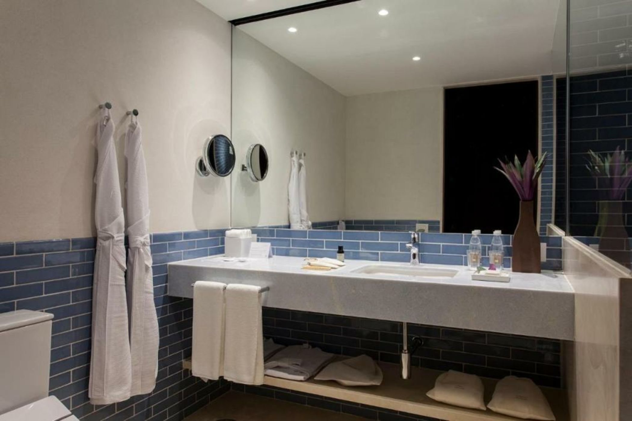Hotel Fasano Salvador