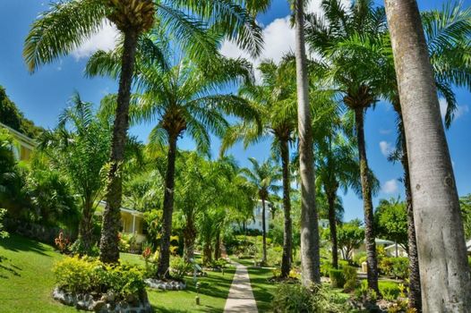 Blue Horizons Garden Resort
