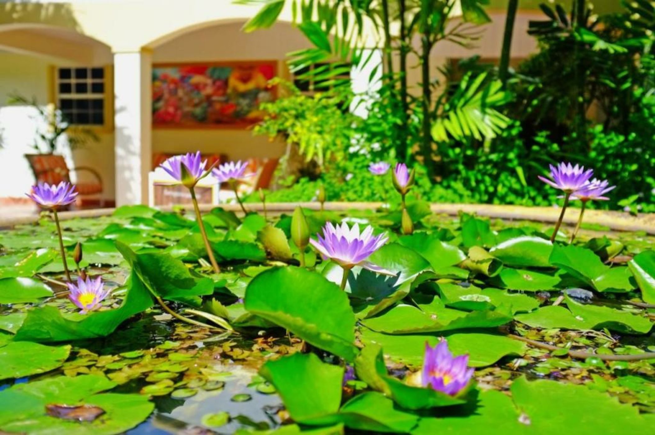 Blue Horizons Garden Resort