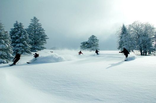 Fujiiso