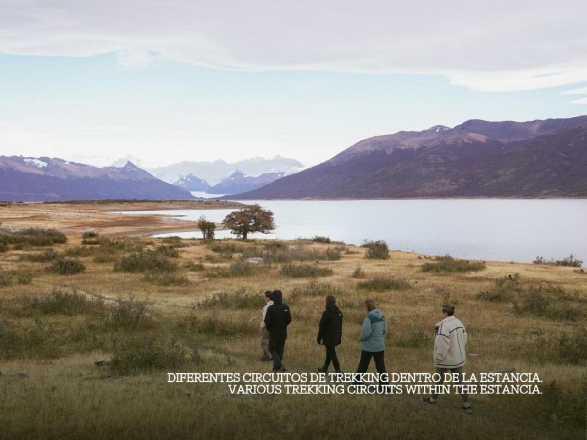 Estancia Patagonia El Calafate - Pristine Luxury Camps